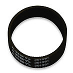 Kirby® Upright Belt in Generation Series 1.jpg