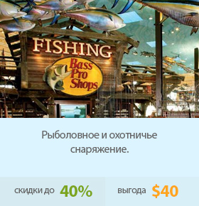 Рыболовное и охотничье снаряжение.